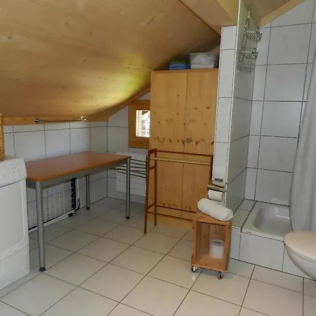 Im Wiesengrund Appartement-fewo- Dusche Oder Bad- Wc 4-bettwohnung By Interhome Gstaad